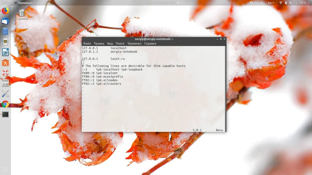 Файл hosts в Linux: как управлять доступом к сайтам без DNS