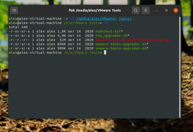 VMware Tools в Ubuntu 20.04: Полная инструкция по установке для идеальной работы виртуальной машины