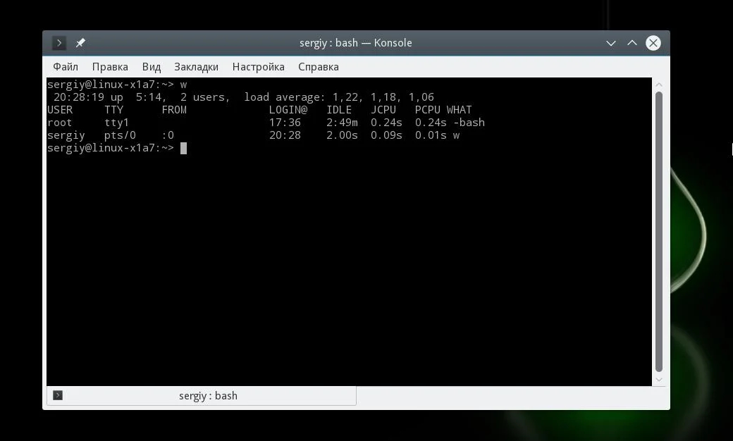 Кто в системе? 4 способа посмотреть всех пользователей Ubuntu
