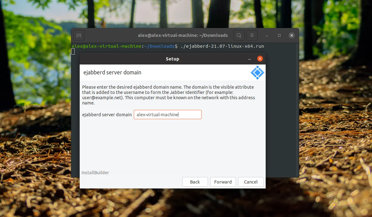 Свой Jabber-сервер на Ubuntu 20.04 за 5 минут: полный гайд по установке ejabberd