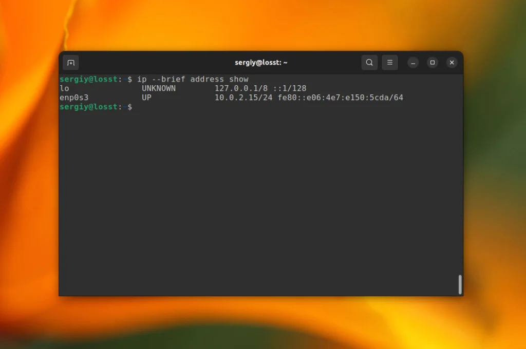 IP-адрес в Linux: 3 простых способа узнать свой адрес за 2 минуты