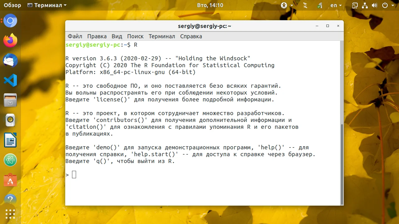 R в Ubuntu: Полная инструкция по установке и настройке для работы с данными