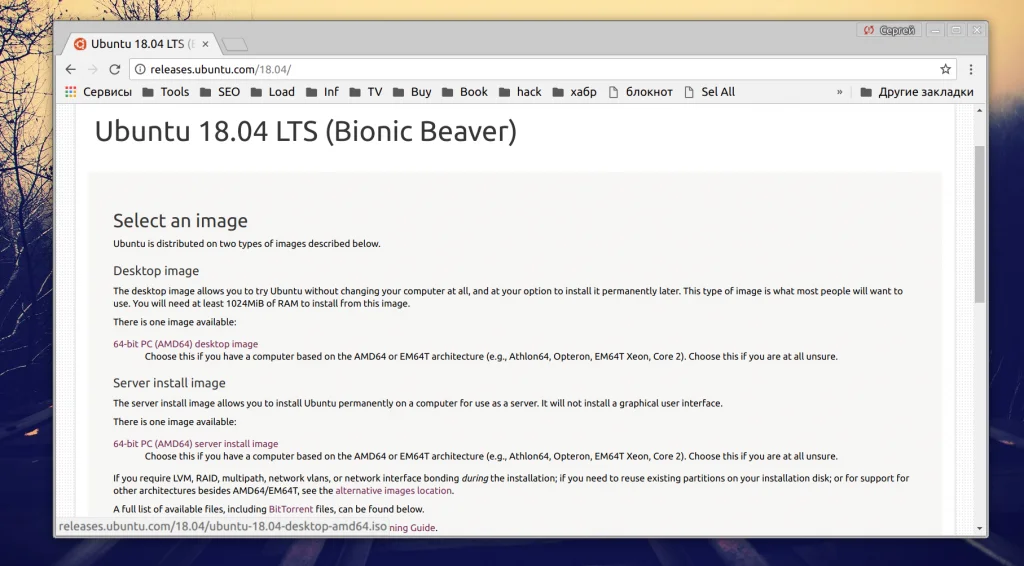 Ubuntu 18.04: Полное руководство по установке для всех