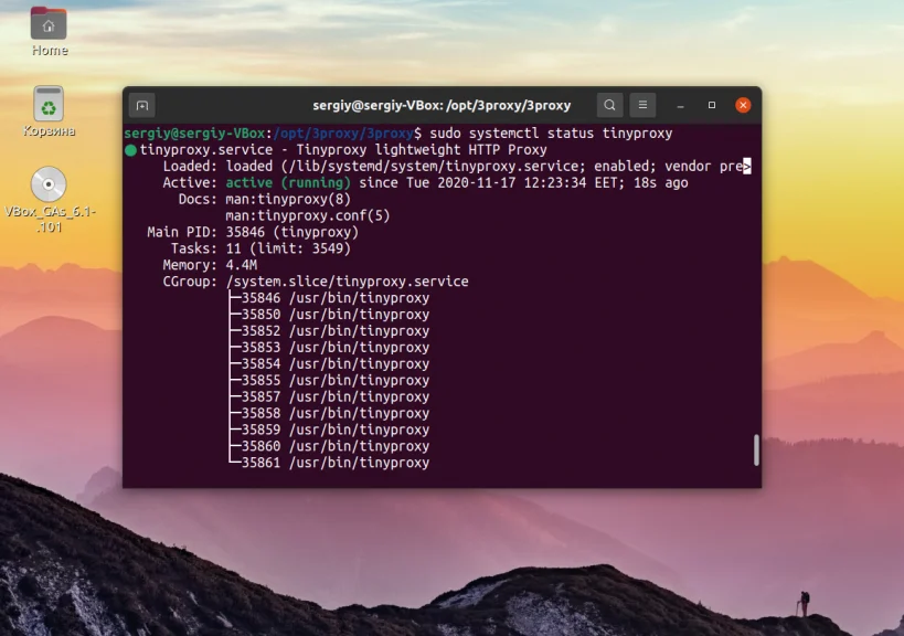 Топ-8 прокси-серверов для Linux: ускорение, безопасность и кеширование