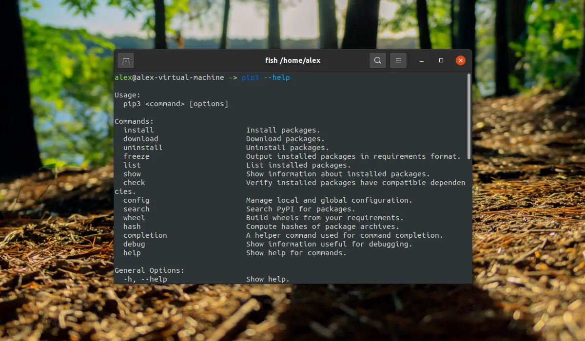 PIP в Ubuntu: Ставим Python-пакеты за минуту