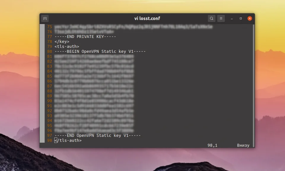 Настройка OpenVPN на Ubuntu 20.04: Полное руководство для безопасного подключения