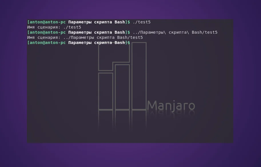 Bash: Как заставить скрипты понимать ваши команды? Полное руководство по аргументам