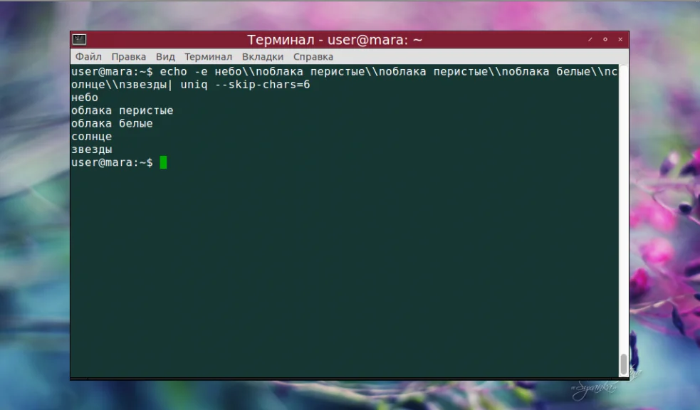 Uniq в Linux: Как легко найти и убрать дубликаты в тексте