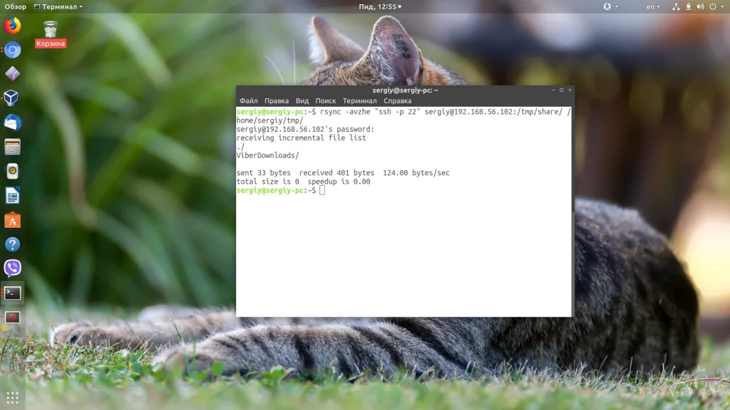 Rsync: Полное руководство по синхронизации файлов с примерами команд