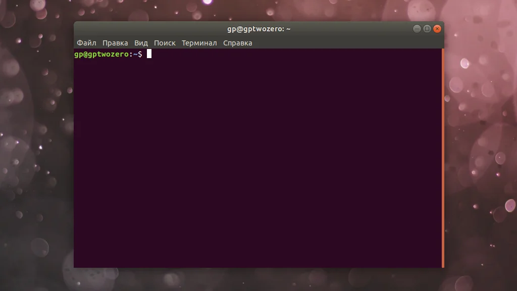 PuTTY в Linux: Как установить легендарный SSH-клиент за 2 минуты
