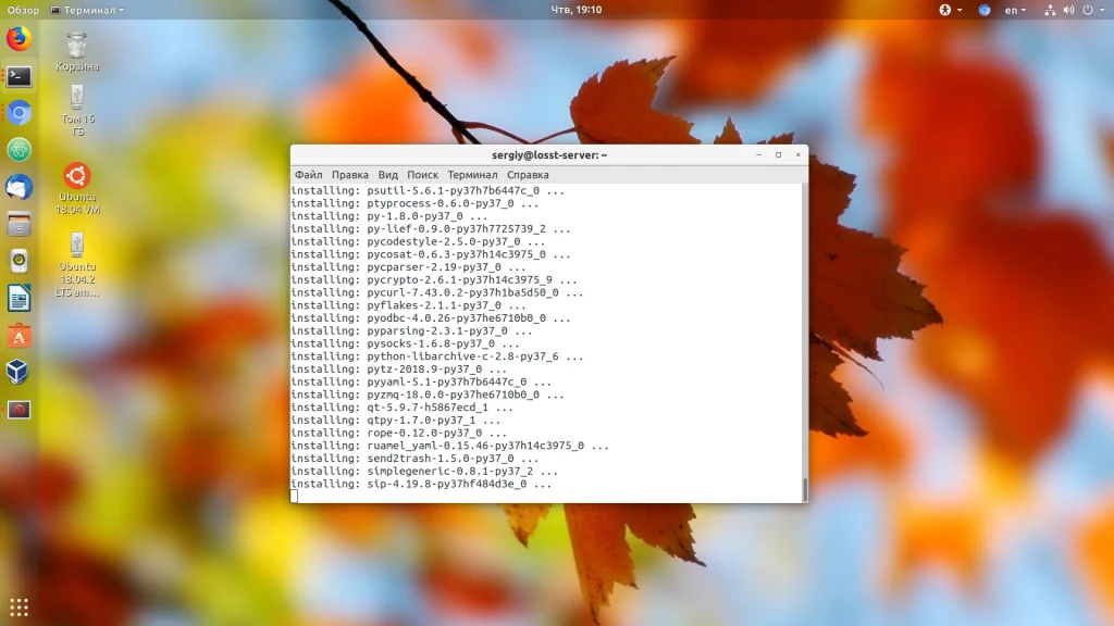 Anaconda в Ubuntu: Полный гайд по установке и настройке для Python-разработки
