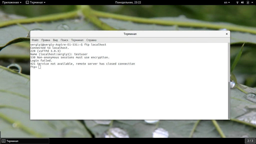 FTP-сервер на Ubuntu 20.04: Быстрая настройка и защита от уязвимостей