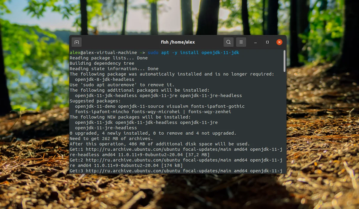 Java в Ubuntu 20.04: Полное руководство по установке всех версий