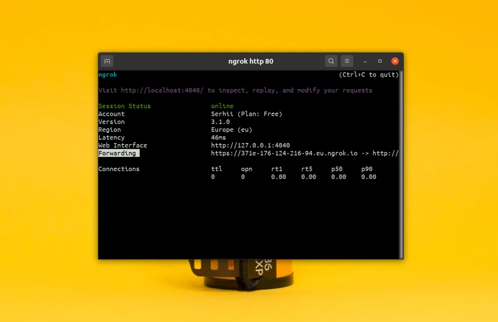 Ngrok: Как вывести локальный сервер в интернет за 5 минут