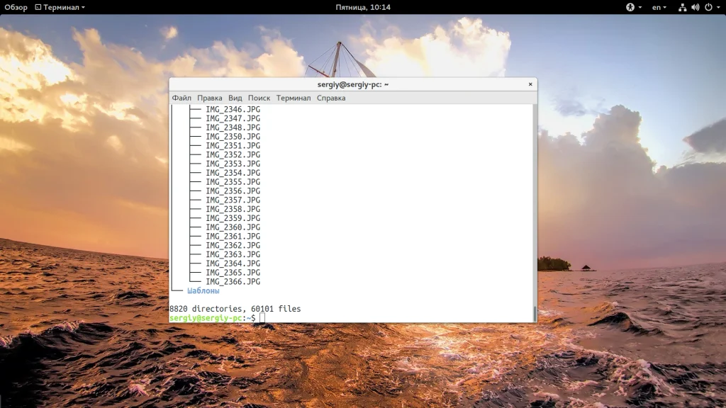 Как быстро посчитать файлы в Linux: 3 рабочих способа