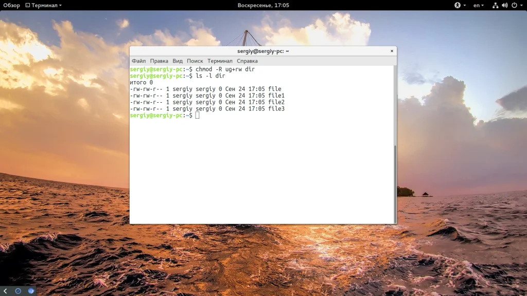 Chmod: Полный контроль над файлами в Linux. Как настроить права за 5 минут?