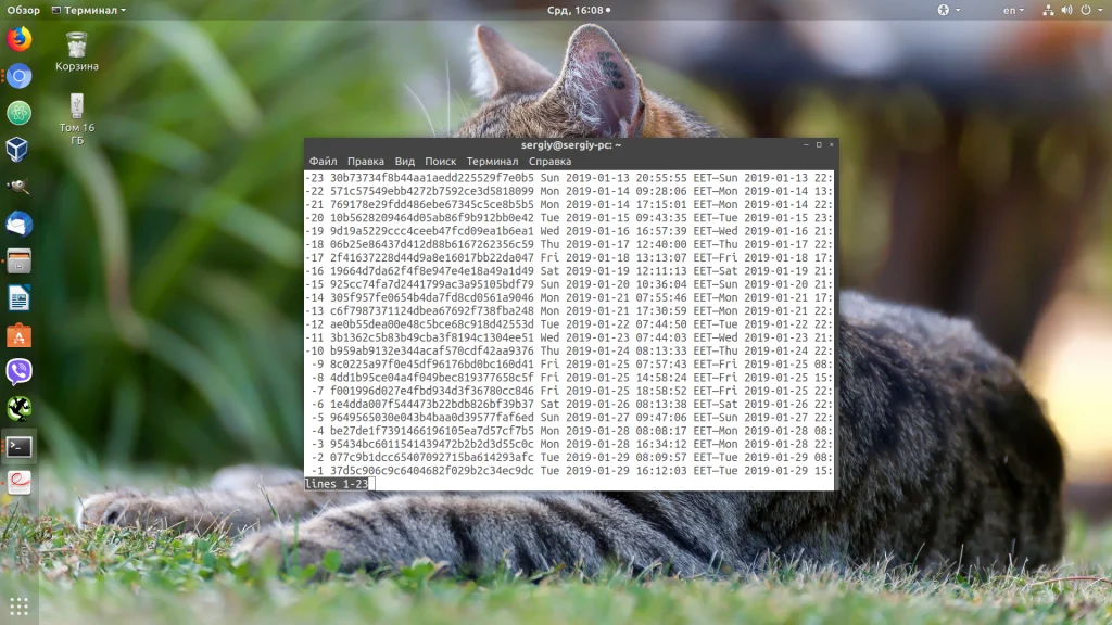 Journalctl: Полная шпаргалка по работе с логами в Linux
