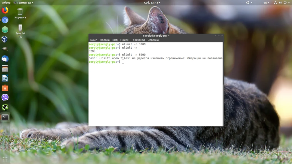 Слишком много файлов в Linux: как снять ограничение и забыть об ошибке