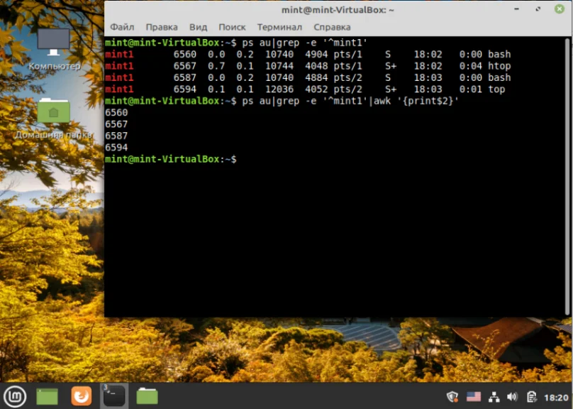 Завис Linux? Экстренное руководство: как мгновенно остановить все процессы пользователя