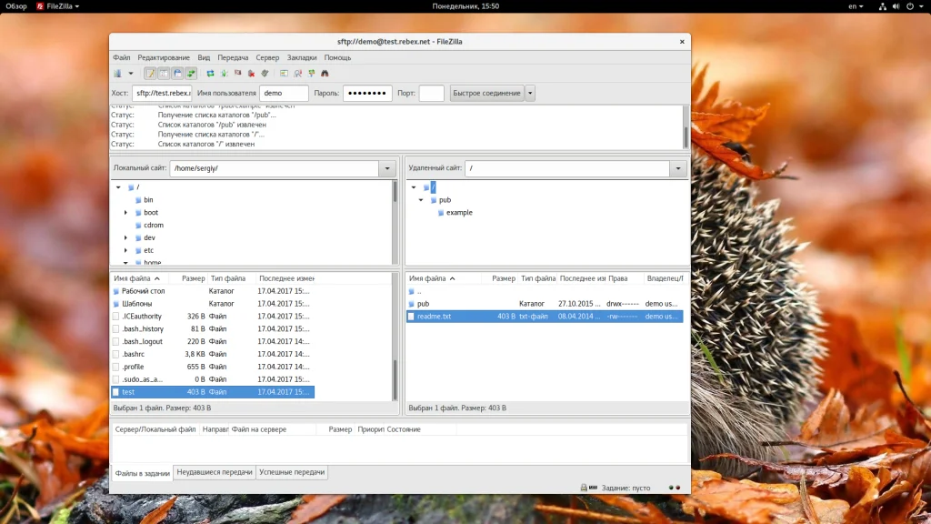 FileZilla: Полное руководство по работе с FTP-клиентом для начинающих