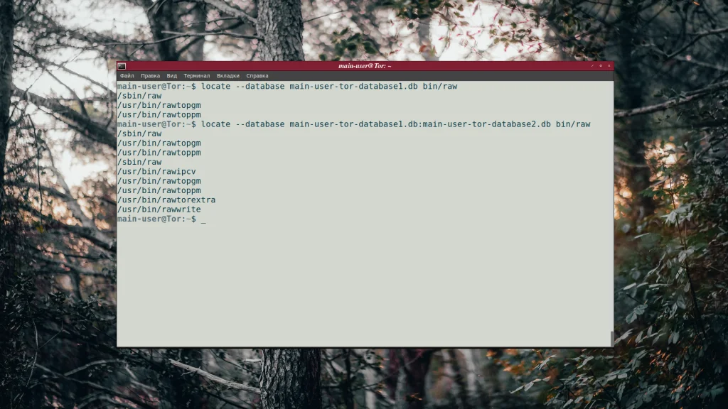 Найдите любой файл в Linux за секунды: Полное руководство по команде locate