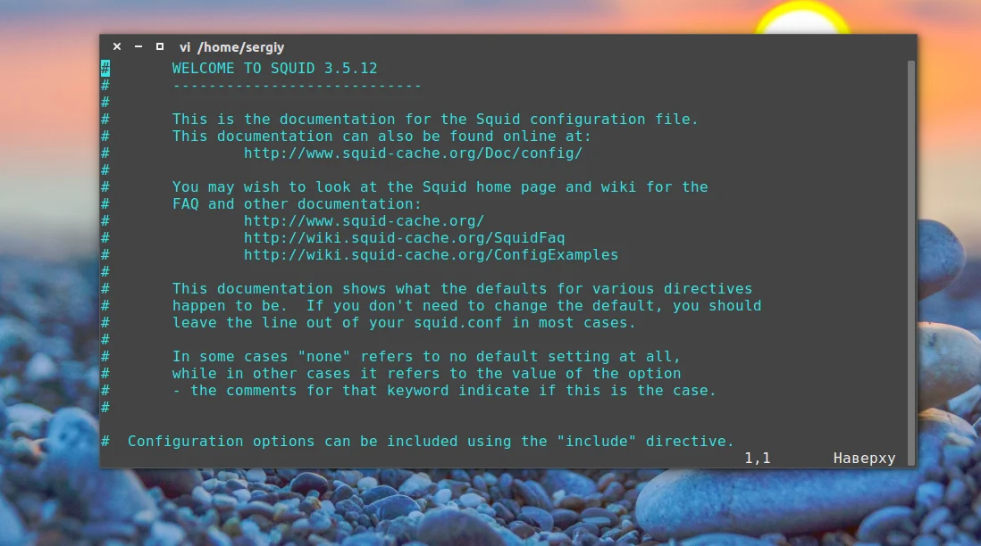 Ускоряем интернет и защищаем сеть: настраиваем Squid Proxy в Ubuntu за 5 минут