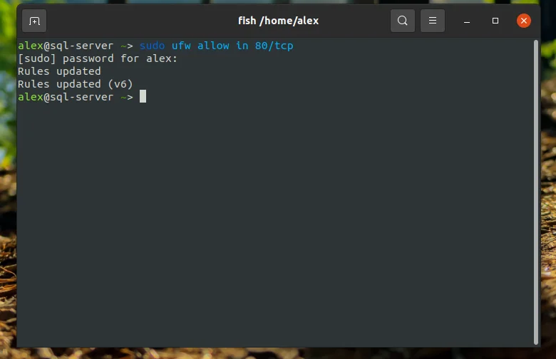 LAMP на Ubuntu 20.04: Полное руководство по установке и настройке веб-сервера