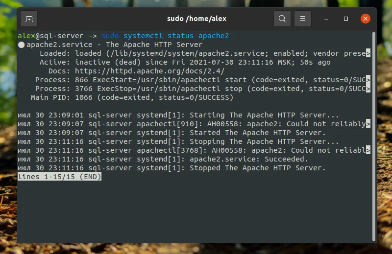 LAMP на Ubuntu 20.04: Полное руководство по установке и настройке веб-сервера