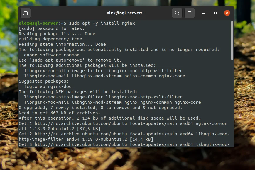 Nginx + PHP-FPM на Ubuntu 20.04: Полное руководство по настройке мощного связующего звена