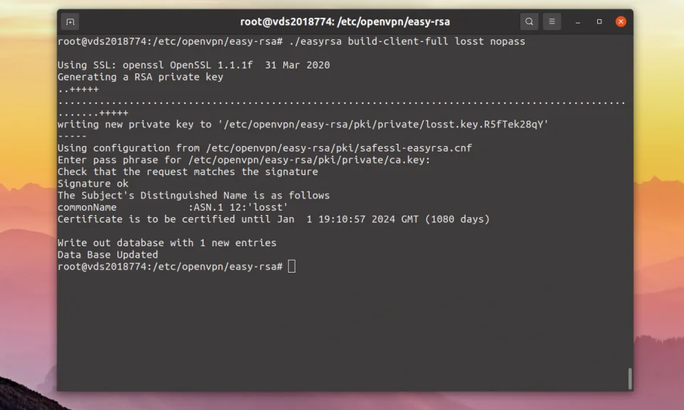 Настройка OpenVPN на Ubuntu 20.04: Полное руководство для безопасного подключения