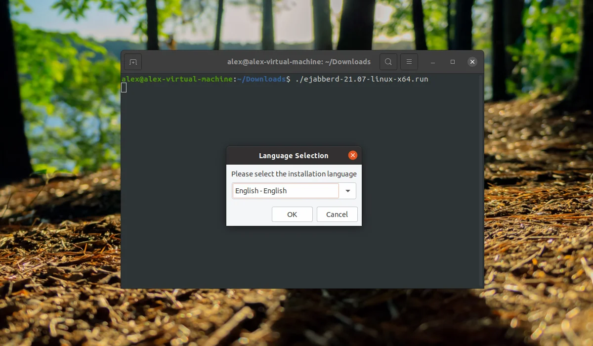 Свой Jabber-сервер на Ubuntu 20.04 за 5 минут: полный гайд по установке ejabberd