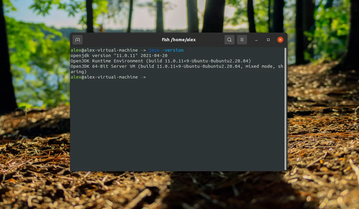 Java в Ubuntu 20.04: Полное руководство по установке всех версий