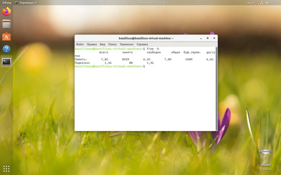 Файл подкачки Linux: как ускорить систему и избежать зависаний