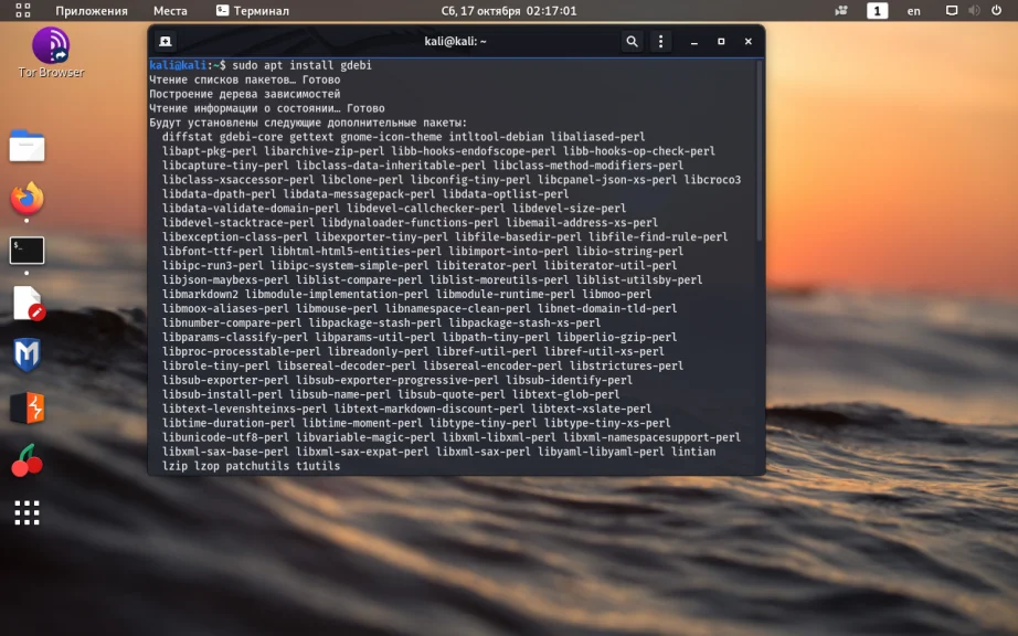 Kali Linux: Полная настройка системы для работы после установки