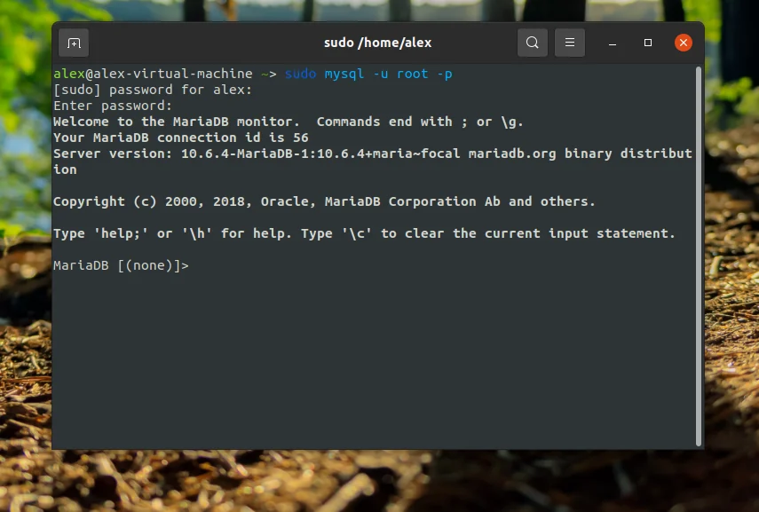 MariaDB в Ubuntu 20.04: Полное руководство по установке и настройке