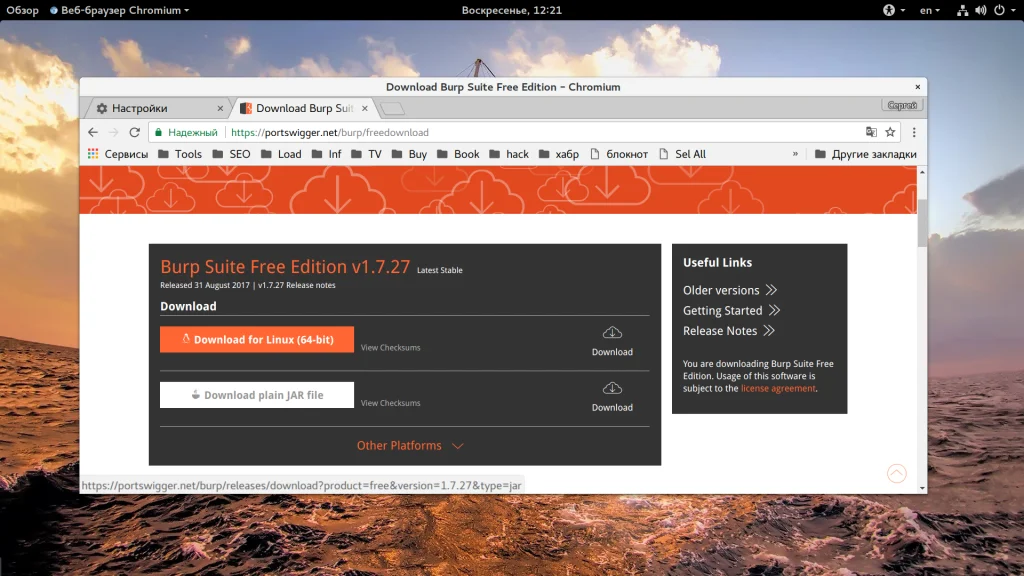 Burp Suite: Полное руководство для начинающих хакеров и тестировщиков