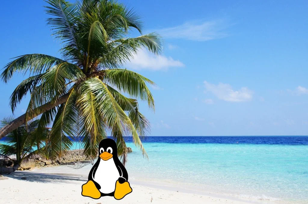 Прозрачный фон в GIMP за 5 минут: пошаговая инструкция для новичков