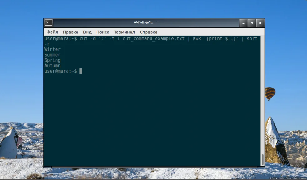 Команда cut в Linux: как легко вырезать нужные части текста