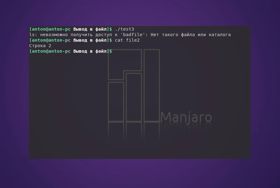 Bash: Как записать вывод команды в файл в Linux — полное руководство