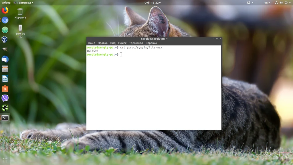Слишком много файлов в Linux: как снять ограничение и забыть об ошибке