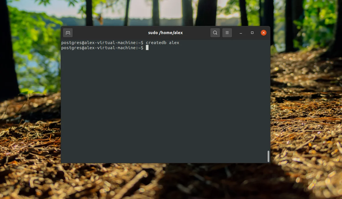 PostgreSQL в Ubuntu: Полная установка и настройка за 10 минут