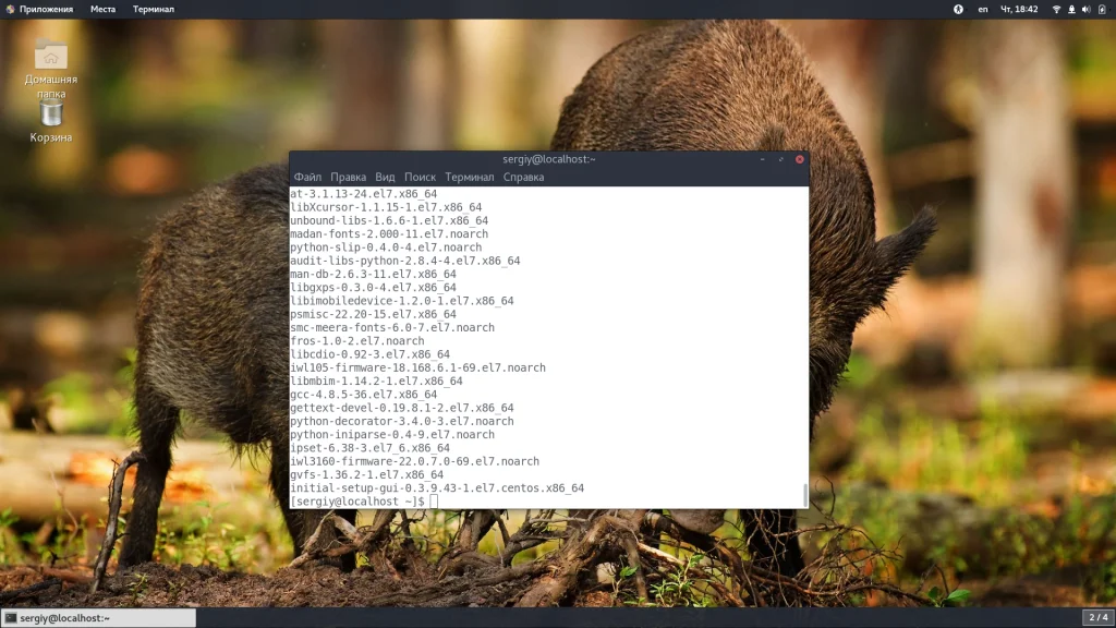 CentOS: Как узнать всё установленное ПО за 5 минут