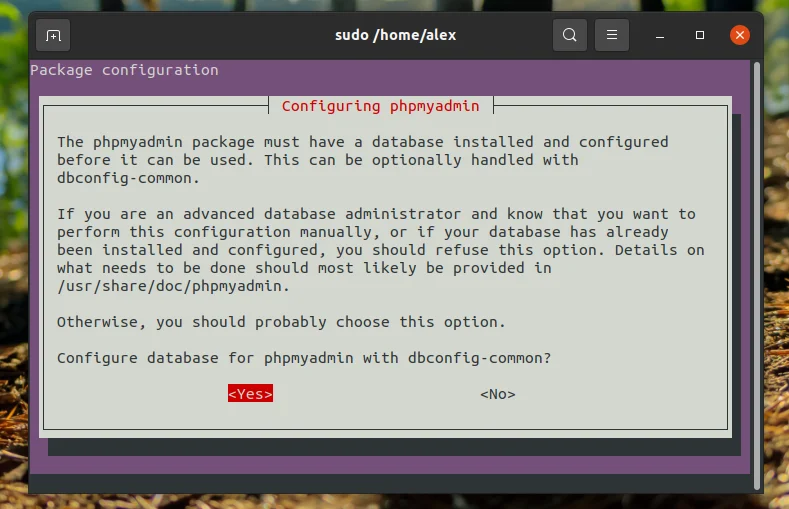 PhpMyAdmin на Ubuntu 20.04: Полный гайд по установке и настройке за 5 минут