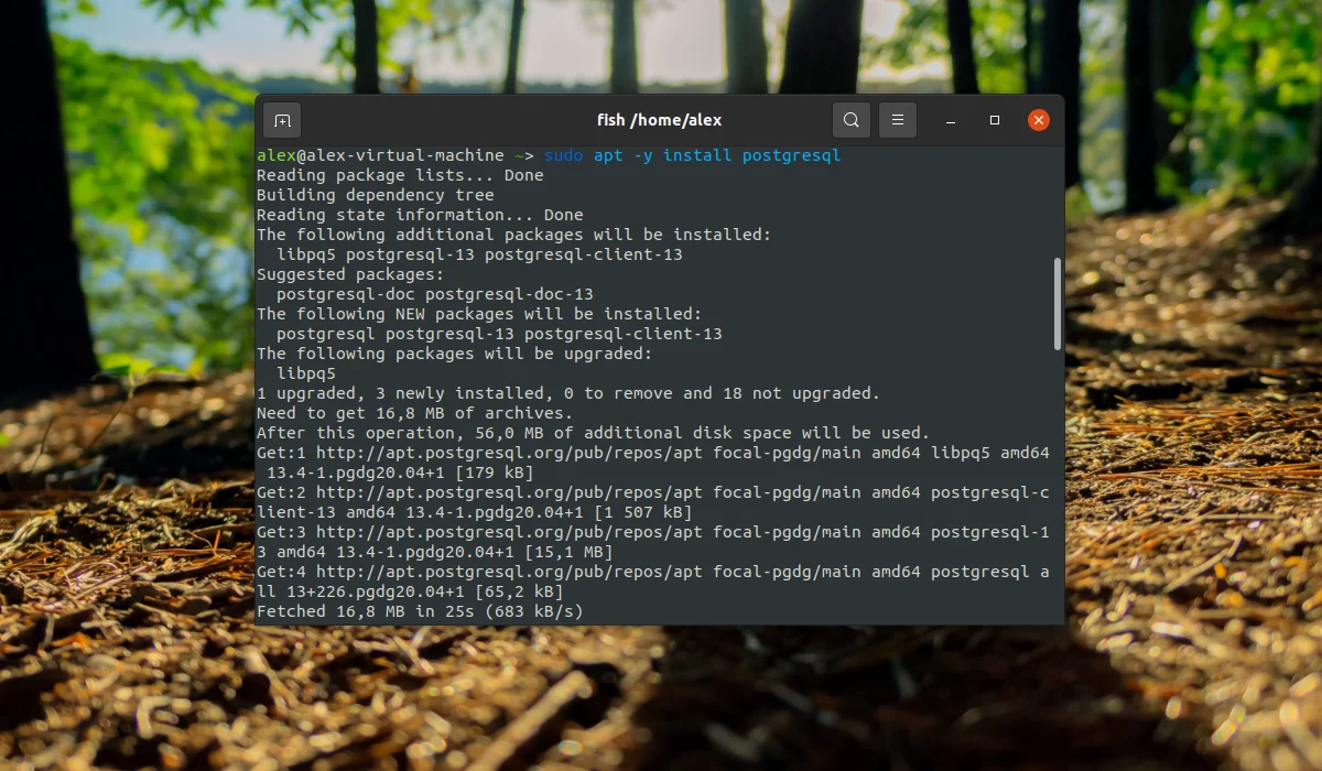 PostgreSQL в Ubuntu: Полная установка и настройка за 10 минут
