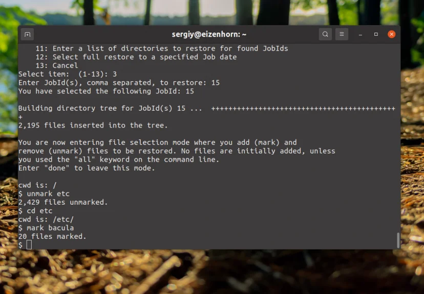 Bacula: Настройте надежное резервное копирование на Linux за 6 шагов