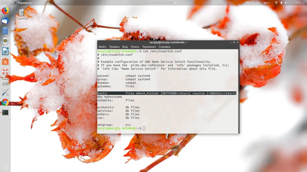 Файл hosts в Linux: как управлять доступом к сайтам без DNS