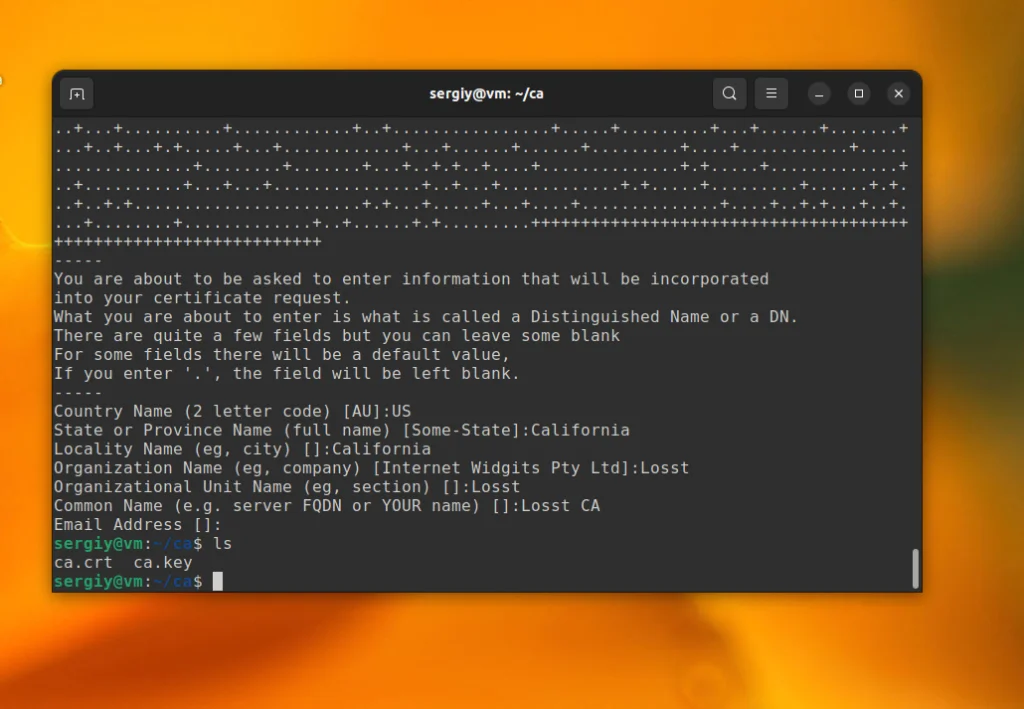 OpenSSL: Полное руководство по созданию SSL-сертификатов с нуля