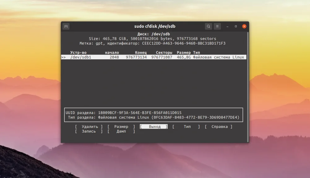 Cfdisk: Освой разметку диска в Linux за 5 минут