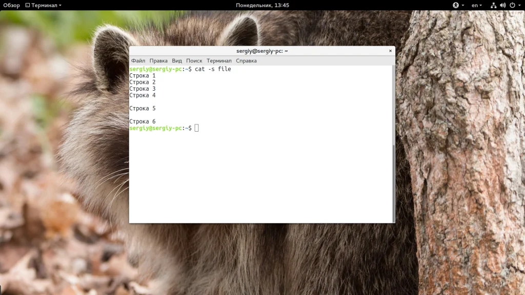 Команда cat в Linux: Секреты, о которых вы не знали