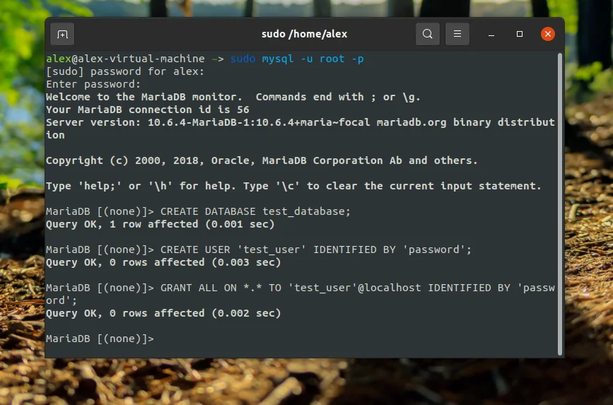 MariaDB в Ubuntu 20.04: Полное руководство по установке и настройке